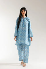 Ethnic 2 Piece Printed Suit - E6043