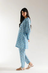 Ethnic 2 Piece Printed Suit - E6043